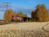 The old NAR pole line stands guard as CN 5295 leads A 41851 02 towards Westlock. 