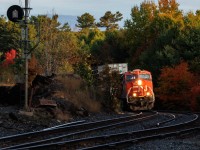 The sun is just up, but only at ground level in a few spots. The colours are in full swing in Muskoka as another CN stacker heads south. It is remarkable how much cargo now moves in containers, boxcar trains being a thing of the past.