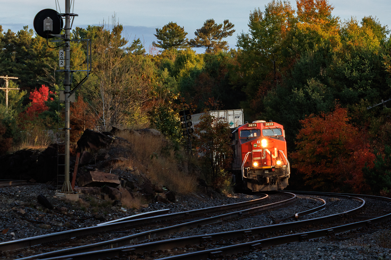The sun is just up, but only at ground level in a few spots. The colours are in full swing in Muskoka as another CN stacker heads south. It is remarkable how much cargo now moves in containers, boxcar trains being a thing of the past.