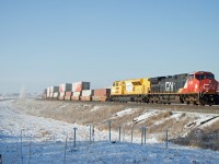 Daily intermodal train Z11251 (Vancouver Intermodal Terminal-Brampton Intermodal Terminal) rolls through the curve east of Spruce Grove just before noon on a chilly but bright Saturday morning. Up front are CN 3403 and EMDX 7206, assisted by tail end DPU CN 3041 (train number six in two hours on the busy Edson sub west of Edmonton).
