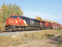 CN 3838 and CP 8732 lead M31151 (Walker Yard-Thornton Yard, daily) through the curve and early fall colours west of Stony Plain. The CP unit had led into Edmonton overnight.