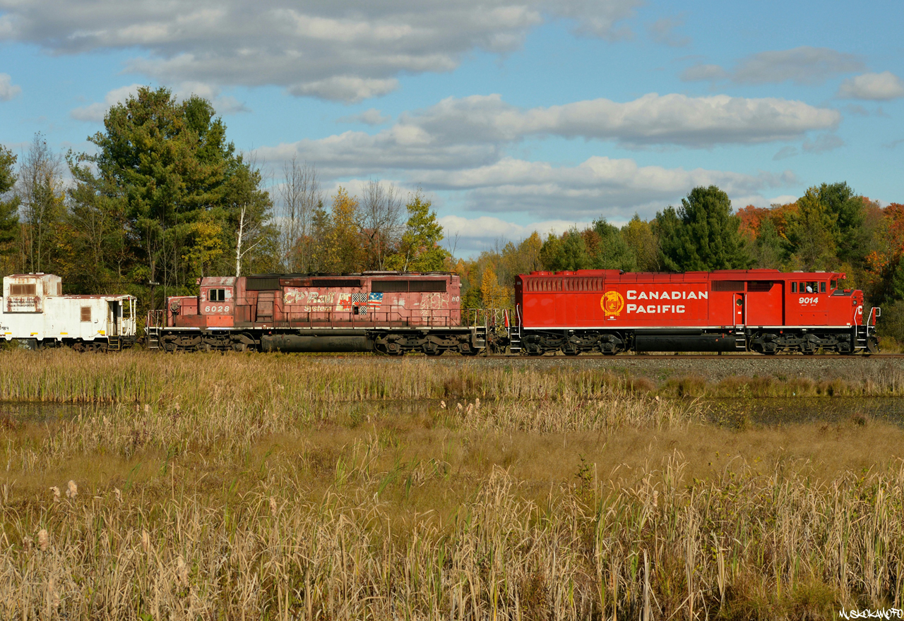 CP 9014 South looks sharp slowly pulling out of the siding at Palgrave after meeting 113 and picking up the Conductor with, not so sharp looking, van 420984 on the head end. I was very happy to see both the "Beaver Scheme" and the SD40-2F's make their own comebacks, but seeing one on the other travelling the CP mainline again is a bet I gladly lost!