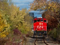 Clean CN 9590 passes some fall colours as the PSC Switcher leaves the Port of Montreal.