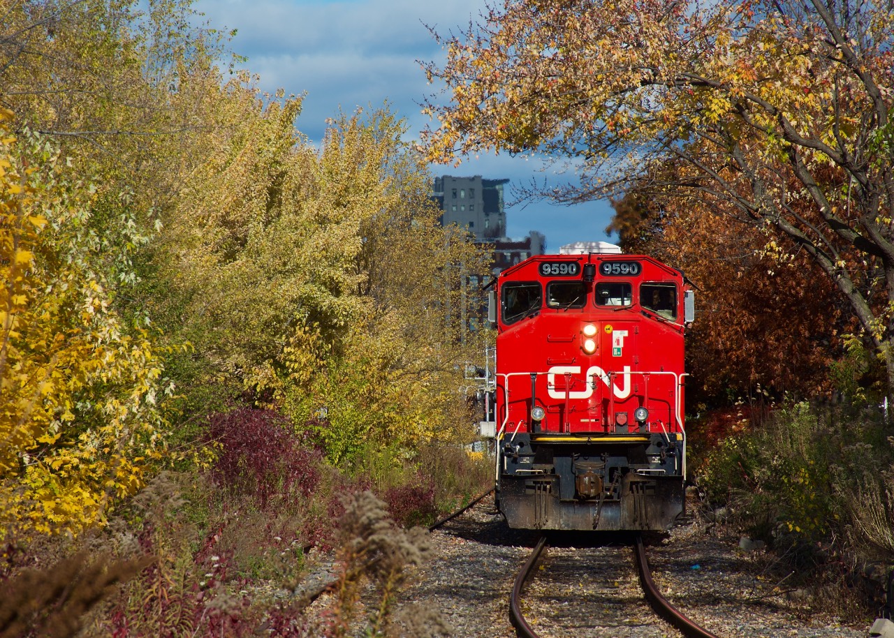 Clean CN 9590 passes some fall colours as the PSC Switcher leaves the Port of Montreal.