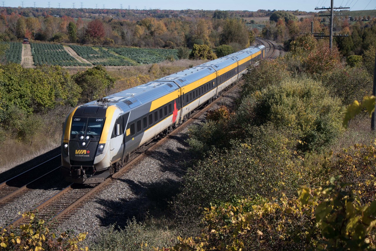 Cab car 2307 leads VIA No. 61 (Montreal-Toronto) at Newtonville Road...while there were some nice fall colours, unfortunately they weren't near the tracks!