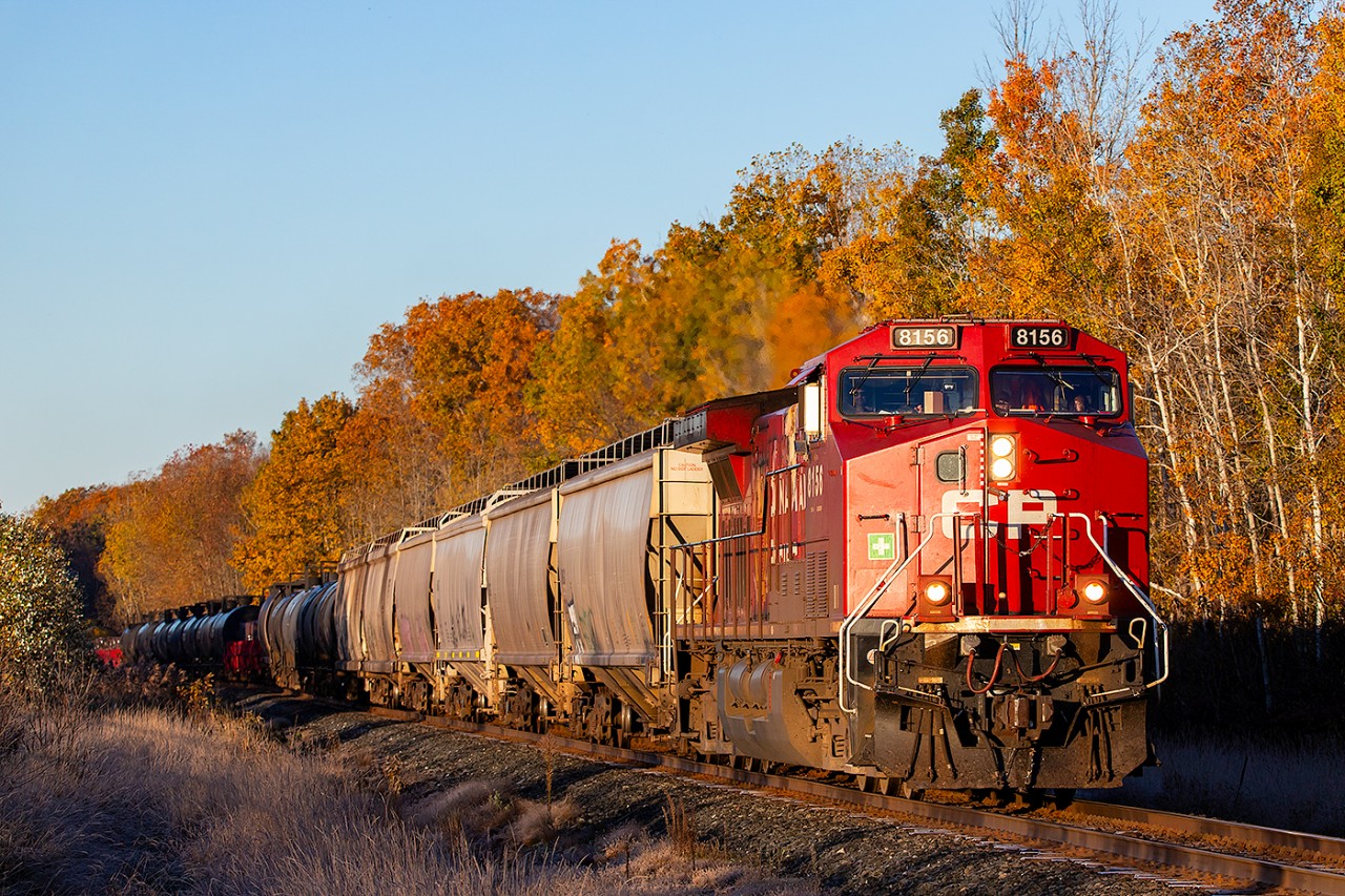 Autumn is in full swing as CP 8156 leads an eastbound train through Trenton.
