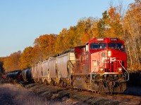 Autumn is in full swing as CP 8156 leads an eastbound train through Trenton.