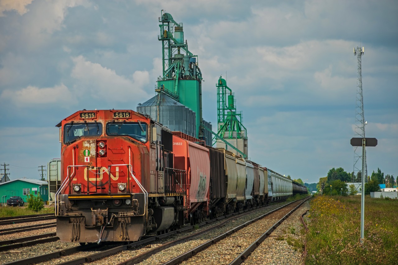 A beat up looking CN 5615 idling away in Vermilion Alberta with their mixed freight in tow.