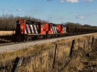 Great fall afternoon to be out taking a few photos. This was an empty unit train, approx. 50 cars, with a smooth and short sided hopper neatly placed in the middle. The 4331 will head north to the Lac La Biche Sub. at Kerensky, a half mile or so past where I was standing. Keeping the theme from my other captions lately, notice the road bed, so neat and tidy. Pretty sure all the crews were enjoying it. Time of photo, 16:40, cab 79694 on the end.