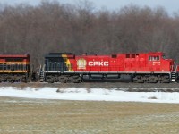 On the Galt, clean unit? Rare. New paint? Rare. The sun is out? Is this even possible? KCSM 4524 has suffered a serious failure and it shut down. There had been mention of the fire department and spilt oil on the scanner, but there are no signs of anything on this side of the unit. The hope is the lone unit will make it to Lambton with the 60-70 racks it's hauling, but dubious about Toronto yard. And what will be the fate of the KC AC4400 with rumours abounding that CP will retire them one for one with the new kids arriving? It's frustrating at times, but it's never boring. 