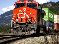 CN 3875 stopped for a crew change which gave me a good chance to photograph this one! The weather could not have been better, at 12 degrees and no wind, especially because I had come from up north by Prince George, which had been -20 the previous day! Here is a video of this train for a different perspective. 

https://youtu.be/-QIf2for8h4