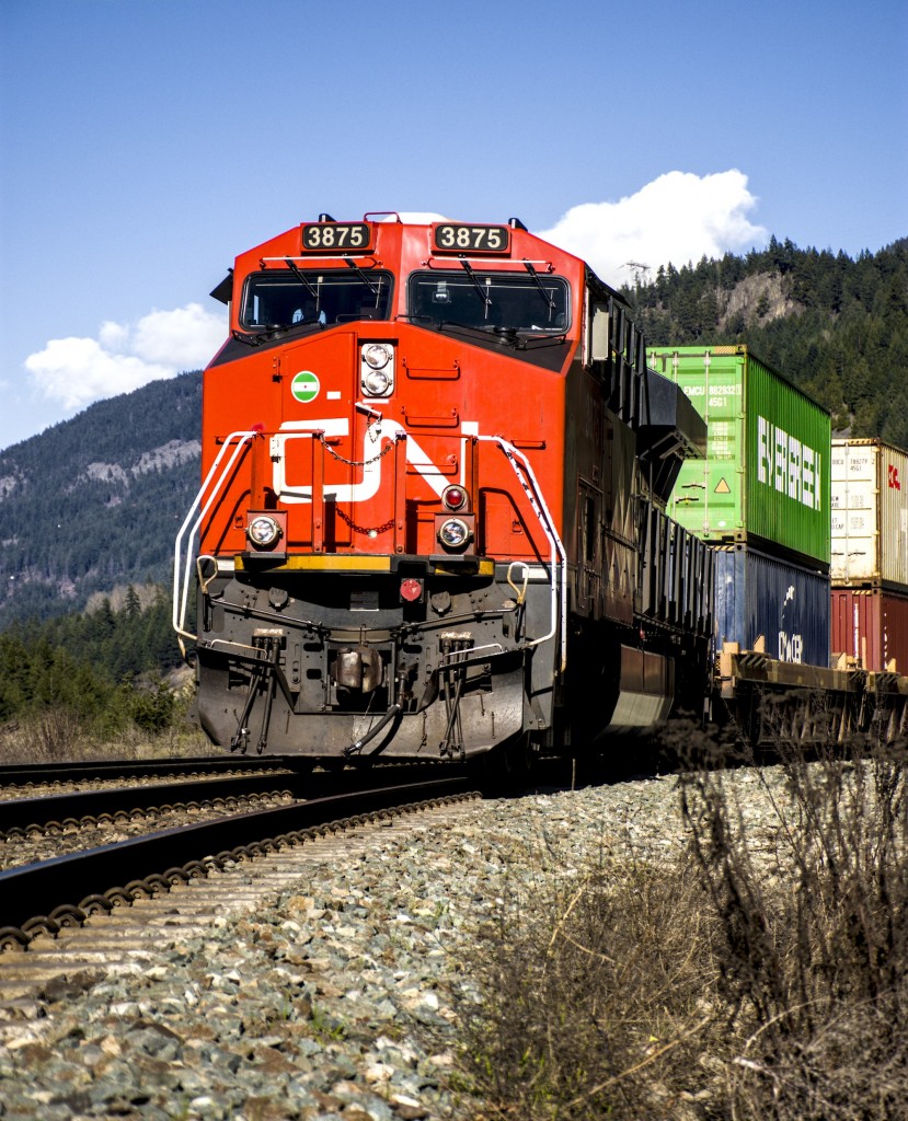 CN 3875 stopped for a crew change which gave me a good chance to photograph this one! The weather could not have been better, at 12 degrees and no wind, especially because I had come from up north by Prince George, which had been -20 the previous day! Here is a video of this train for a different perspective. 

https://youtu.be/-QIf2for8h4