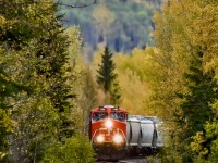 CN 3196 leads a manifest train through some incredible fall colors near Bond Siding. 
