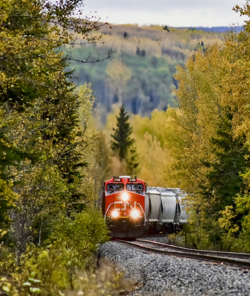 CN 3196 leads a manifest train through some incredible fall colors near Bond Siding.