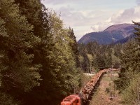 Canadian Pacific’s E&N Division on Vancouver Island handled trains of logs from Crown Zellerbach’s Nitinat Logging Division (hence the name Nitinat for those trains), eastward for 18 miles from Lake Cowichan to Hayward then 17 miles northward to the CZ log dump at Ladysmith. As seen from the last water tower at mileage 15.85 near Lake Cowichan (note milepost 16 in the distance near the Greendale Road crossing), GP9s CP 8832 and 8831 have their eastward train of 40-ish loads nicely underway on Thursday 1975-05-15, just two months after GM units displaced the seven remaining CP Baldwin roadswitchers on the E&N.