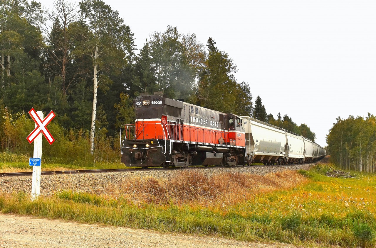 Thunder Rail (TRR) 2004 has just been down to the Crooked River's Richardson Pioneer grain facility to collect a long string of grain cars. The train went around the wye and backed into storage track just north of namesign CN Crane where I am positioned for this photo.
  This shortline started up in 2005 using 19.5 miles of track formerly operated by the Carlton Trail. It consists mostly of a spur off of the CN Tisdale Sub. Various grain is the main traffic on the line.