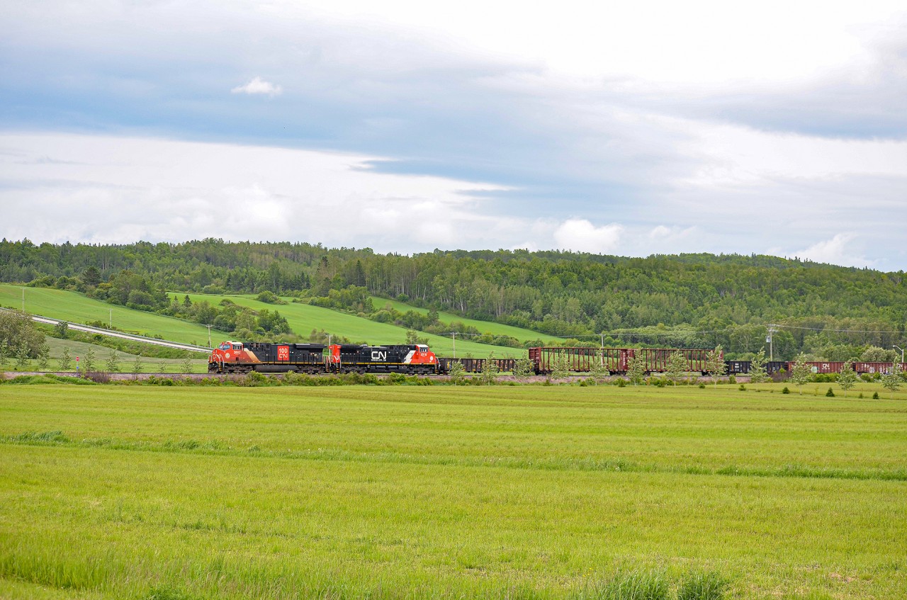 On June 17th 2023, while travelling on Route 132 between Rivière-du-Loup and Rimouski i passed train 402 around Trois-Pistoles. I decided to catch it along the highway just after Saint-Simon, which proved to be a good idea as train 559 led by CN 9523 and 9543 was about to enter the siding just as i arrived, allowing me to catch both trains at once. Unfortunately, 559 waited at the other end of the siding, so i did not take a good shot of both trains in the same picture.