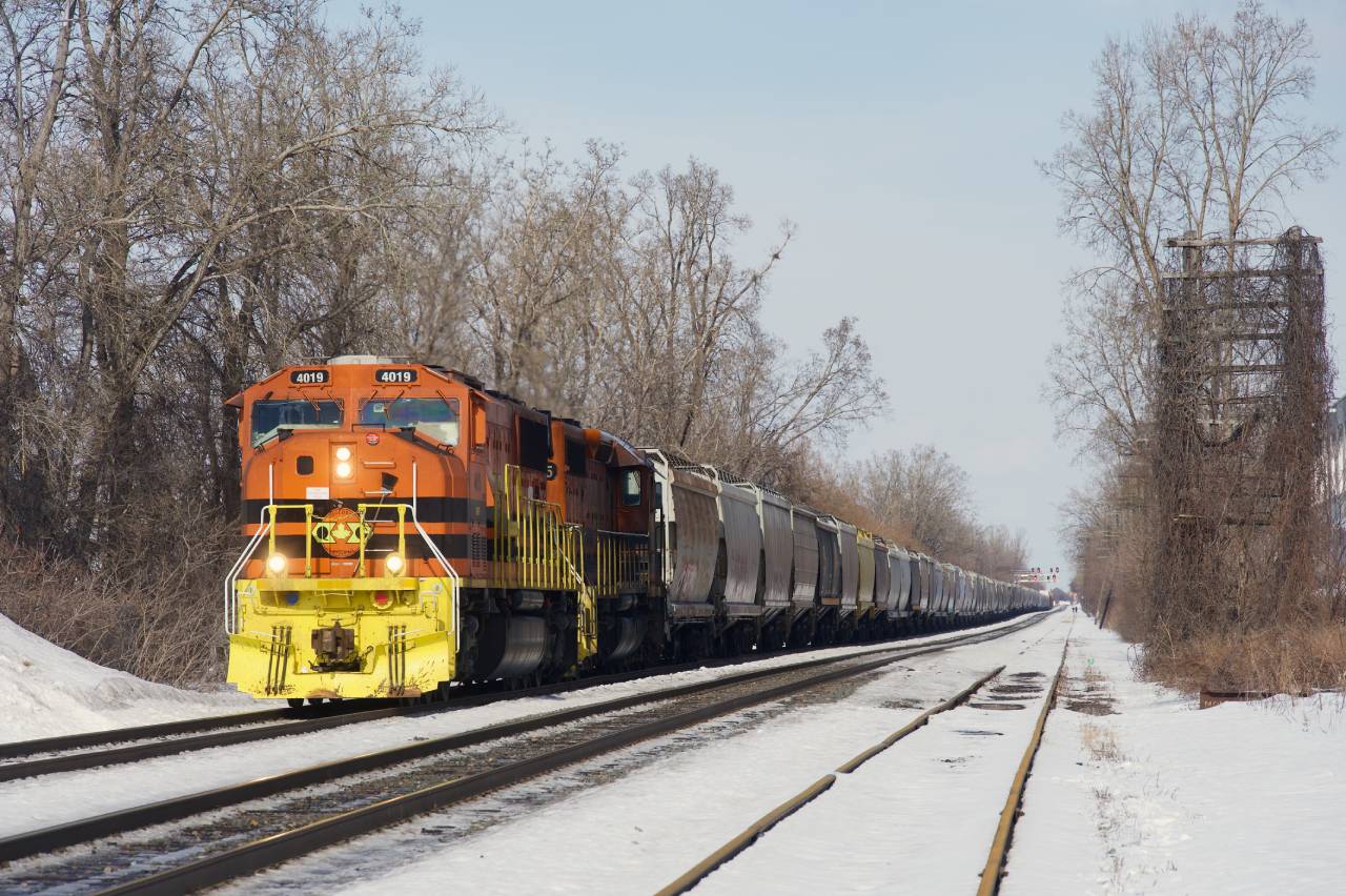 Empty grain train QG 323 is on CPKC's Adirondack Sub as it prepares to wait before being able to enter St-Luc Yard.