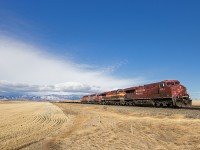 Powerful Chinook winds roared through at over 80 km/h, turning a day of train photography into an adventure. Thankfully, the air stayed warm despite the intensity. CP 8732 leads this eastbound mixed consist, with a pair of SD40-2s trailing behind the main power hauling loaded ballast.
Today marked five years since my kidney transplant — and I can’t think of a better way to celebrate than doing something I love.