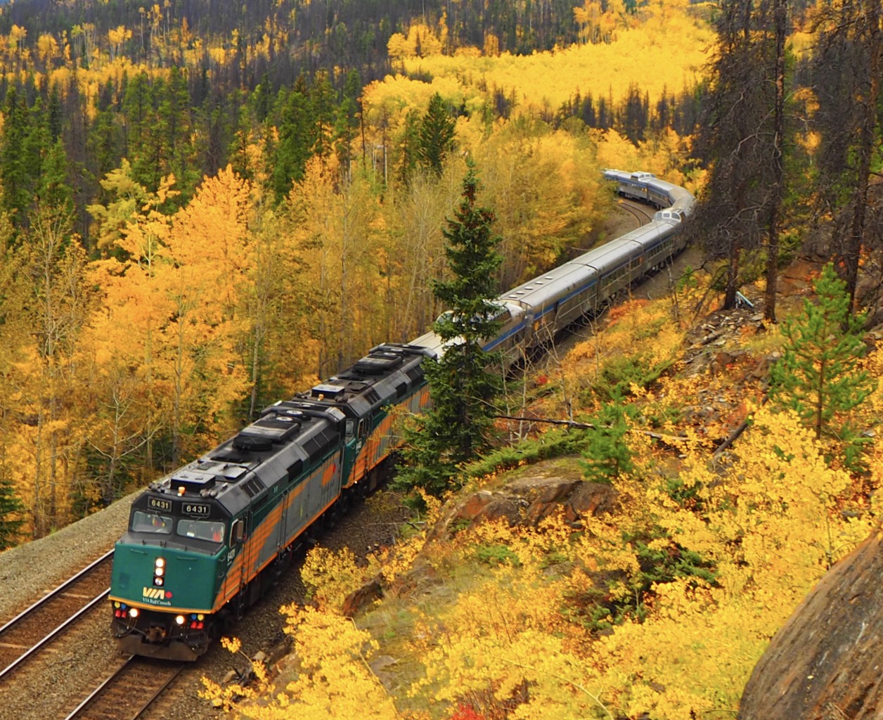 Just on the outskirts of Jasper, fall has fallen. That yellow, green, and red broken by the silver steak approaching the final station on the Albreda subdivision, Home. Home is named after Railway Hall of Famer, Harry Home. He’s a local Jasper legend and a foamer making us all look like amateurs. He has passed and I was fortunate enough to spend time with him while he was a passenger of mine when I was working the Skeena. Why is Harry so special? He was a major part of restoring CN 6060, he was one of the men that pitched the concept of the Rocky Mountaineer, he even organized the steam excursions for Expo 1986, all while he was hogging full time in Jasper for CN. CN had to ask him politely to retire well into his late 70s.