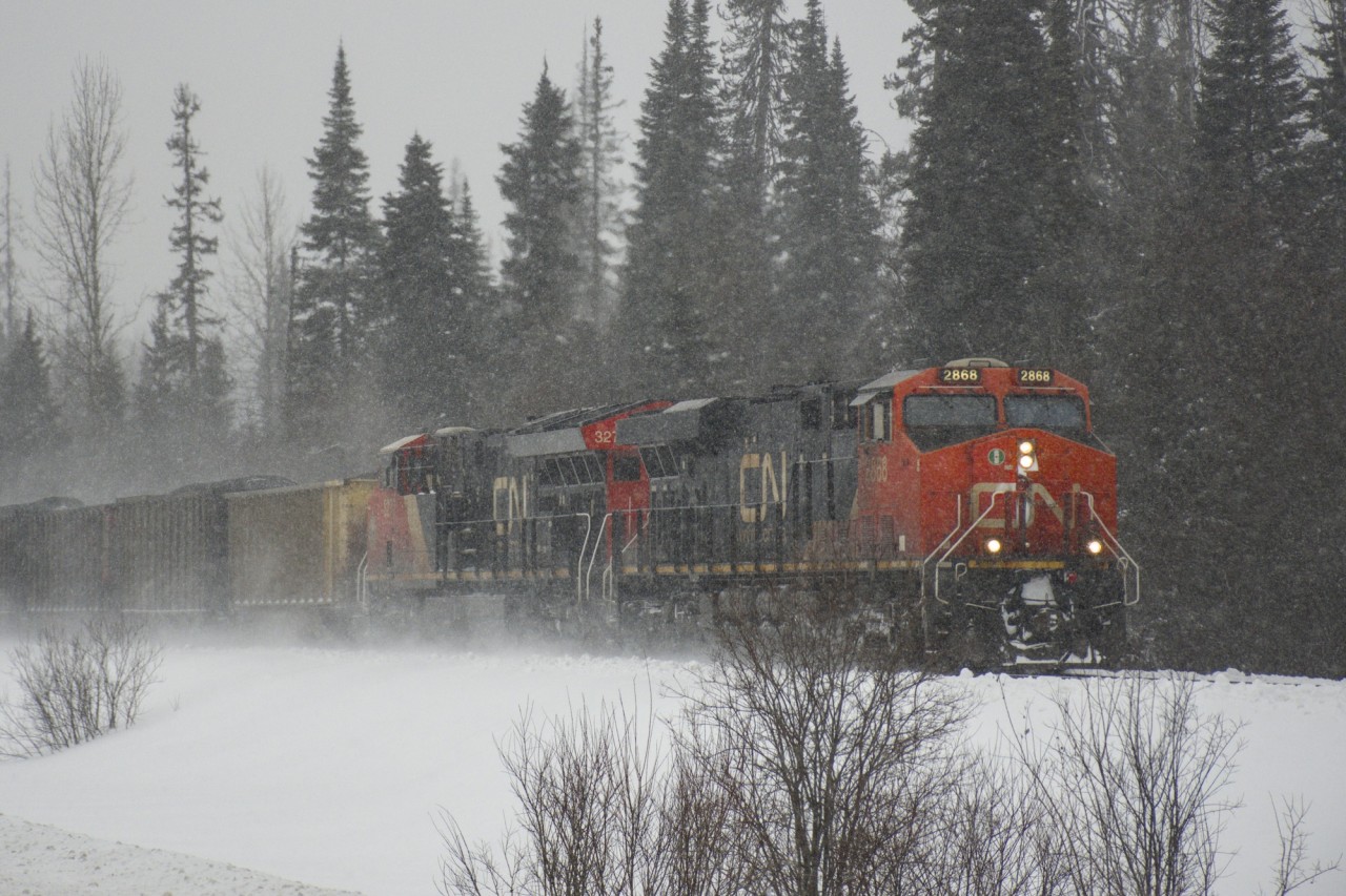 CN 2868 leads a loaded coal hoppers towards Prince George in a thick and windy blizzard.