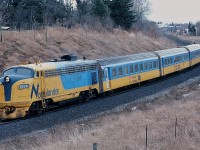 <br>
<br>
ONR 1985 in better days,
<br>
<br>
GMD 1951 built  FP7A, delivered to the ONR as  #1518, then in 1980 four FP7A's were reconfigured / renumbered for Northlander service given the issues with the original TEE train 1957 built Werkspoor motive power
<br>
<br>
Daily except Saturday Northlander, ONR #121 near mile 23 CN Newmarket Sub at King City, March 1, 1981 Kodachrome by S.Danko
<br>
<br>
noteworthy: #121, eleven hours direct to downtown Timmins. 
<br>
<br>
ONR 1985 and FP7A 1517 met their demise in a September 9, 1991  open switch incident and collision, per  Jason Noe: 
<br>
<br>
 <a href="http://www.railpictures.ca/?attachment_id=  55141">  fini  </a>
<br>
<br>
Werkspoor power
<br>
<br>
 <a href="http://www.railpictures.ca/?attachment_id=  29540">  circa 1979  </a>
<br>
<br>
sdfourty
