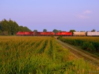 As the morning sun cuts through the haze, CPKC 135 thunders west through the farms of Puslinch.  CPKC 529 follows not too far behind.