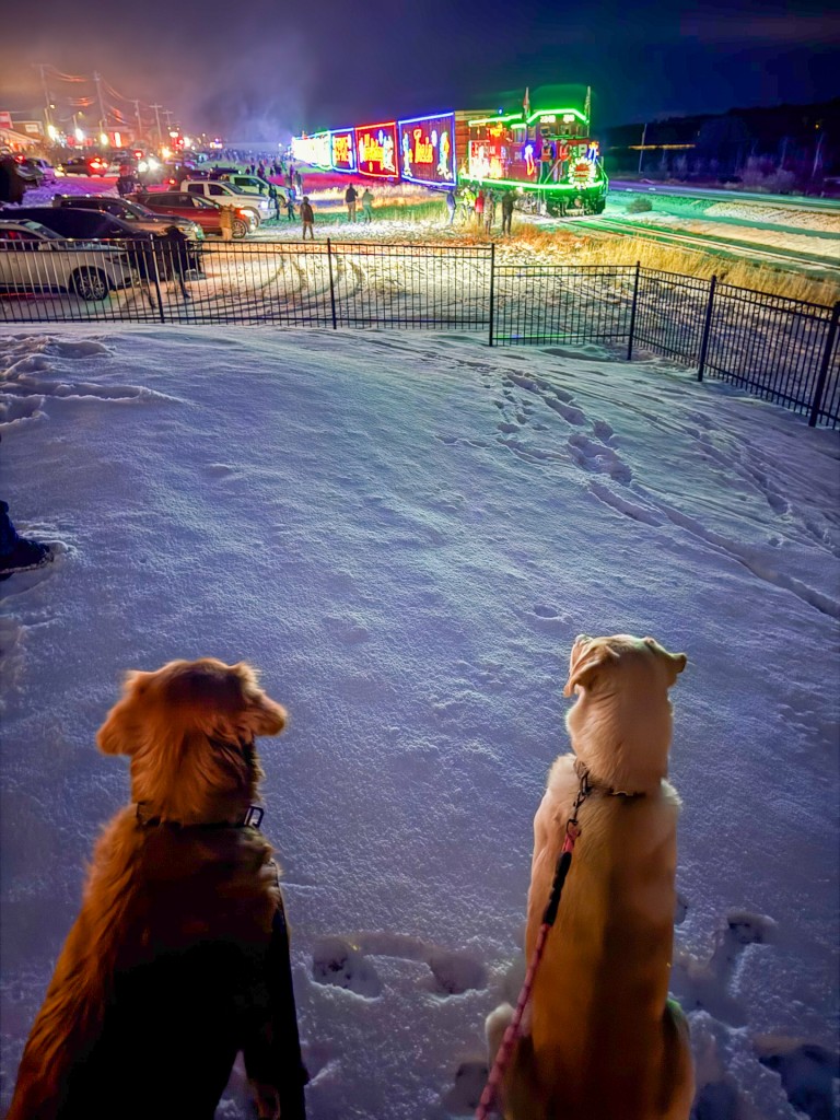 Four legged railfans love the Holiday Train too