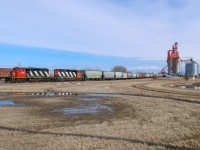 Reminiscent of the grain peddlers of the past, CN 5350 and 5305 finish spotting the Morinville Pioneer elevator on the Westlock Sub. After spotting the 98 cars, L 52151 18 will carry on north to Westlock with 67 empties for WTI. 