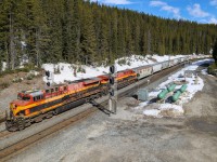 The battle with gravity is halfway over, as CPKC 301-438 crests the Continental Divide with a pair of KCSM units on the headend.  The second half of the battle will be descending Kicking Horse Pass on the 2.2% grade - but only after holding at Stephen for a five eastbound parade! 