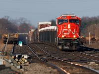 There isn't much better than early morning or late-day sun. 