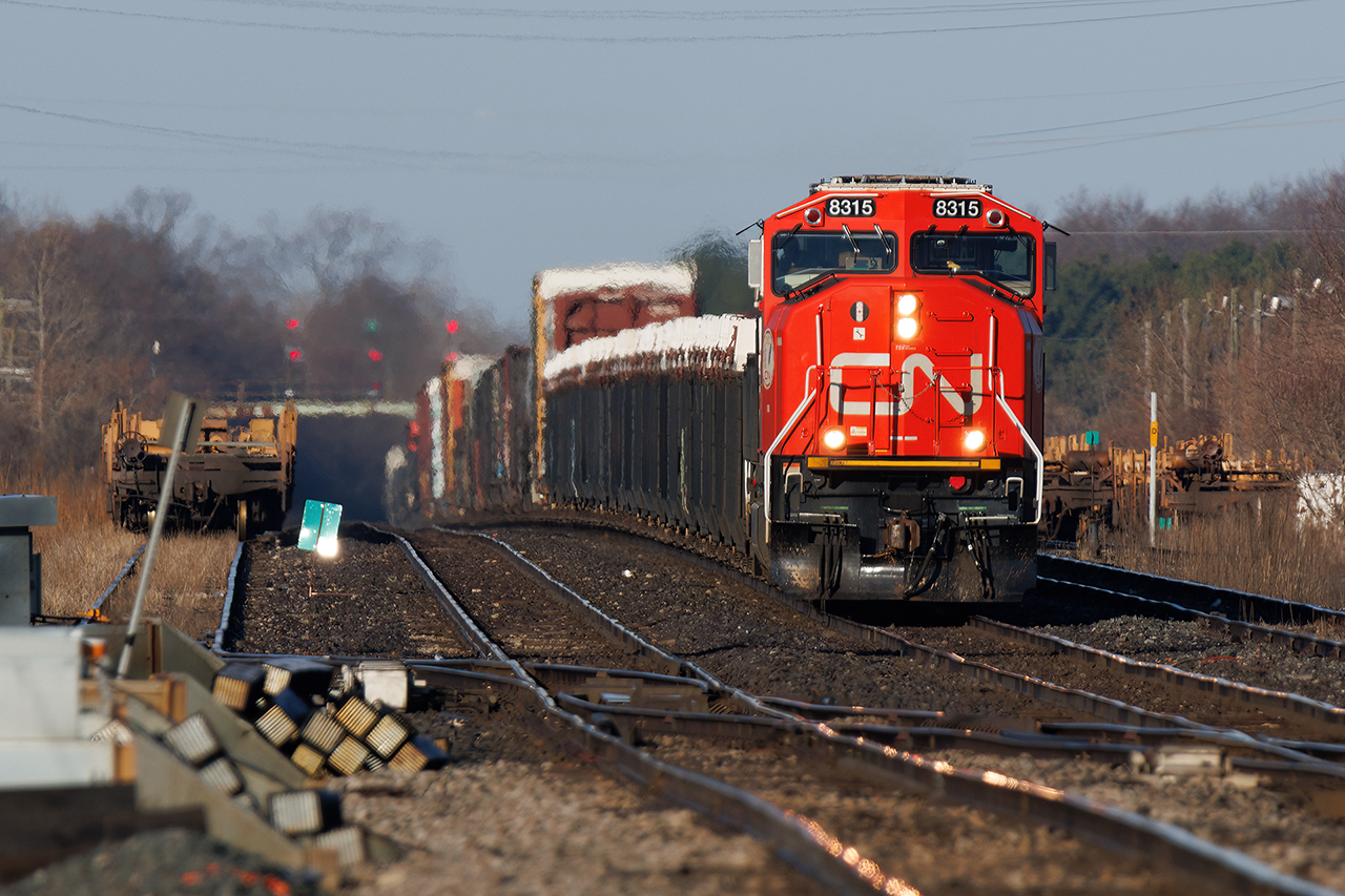 There isn't much better than early morning or late-day sun.