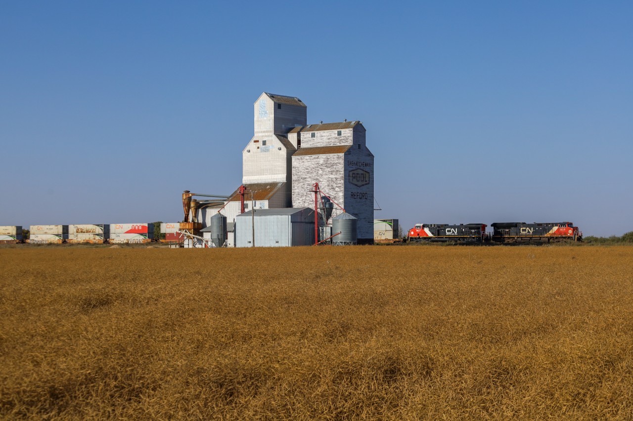 The late afternoon sun turns gives the fields a golden hue, as Edmonton to Montreal an Z train cruises past the elevator at Reford.  While not served by rail anymore, it is still used by local farmers for storage.