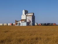 The late afternoon sun gives the fields a golden hue, as Edmonton to Montreal an Z train cruises past the elevator at Reford. While not served by rail anymore, it is still used by local farmers for storage.