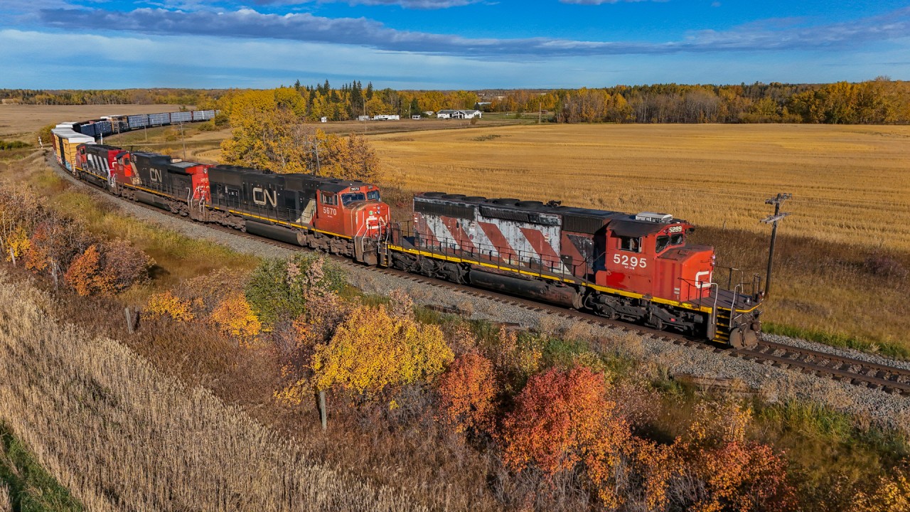 A 41851 02 digs in for the climb to Busby, on the former NAR mainline.