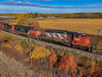 A 41851 02 digs in for the climb to Busby, on the former NAR mainline. 