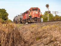 <h2>For those who like the "people side" of railroading...</h2>

<p>With a trainee on board, <strong>CPKC H89</strong> is ready to depart Lobo after meeting an EB to head to Glencoe for yet another meet</p>

<p>The leader for this train is 3016, which is rather a unique unit as it is a faded <strong>GP38AC</strong> but has a completely refurbished interior, making the unit actually a solid choice for the crew</p>

<p><a href="https://www.flickr.com/photos/190433685@N04/55182540178/in/dateposted-public/">Higher Quality Image</a></p>
