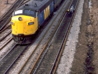 VIA FP9 6521 leads two 6600-series F9B units on an eastbound "Corridor Canadian" consist, passing CN workers doing some track upgrading on the Kingston Sub around Mile 301, as viewed from Park Road South overpass. The east end of CN's Oshawa Yard is visible, serving GM's large Oshawa assembly plant in the upper left background.
<br><br>
If you look very closely, you can see the domes of the Skyline and Park cars. In the early-mid 1980's, The Canadian's consist between Toronto-Montreal was run mixed with corridor trains (e.g eastbound #2 combined with #44/54) in order to, according to <a href=https://tracksidetreasure.blogspot.com/2012/07/then-and-now-domes-on-kingston-sub-1981.html><b>Eric Gagnon's post</b></a> on the subject, cover the Toronto-Montreal stretch (as Sudbury-Montreal had been cancelled) and service the passenger equipment at The Glen yard in Montreal.
<br><br>
<i>Keith Hansen photo, Dan Dell'Unto collection slide.</i>