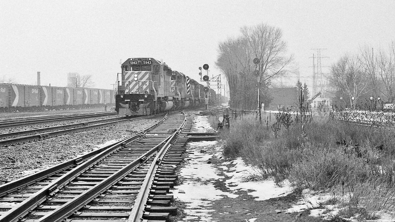 Running Extra through the light snow


Extra 5943 West, at Leaside, Kodak Tri X negative, December 22, 1979 by S.Danko


More


   5749 West  


  8141 West  


sdfourty
