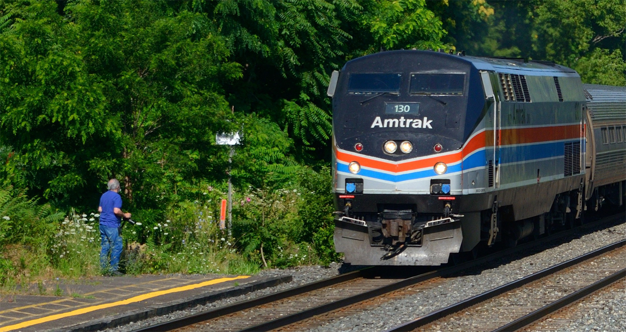 Pictured is Arnold observing something scurrying in the bushes while a train gets in the way. Stupid train. BTW, this photo is NOT copyright. Permission is granted to the globe, for this photo only, you may steal, modify, print, spam, send to government, admire or throw darts at it, decorate your computer with flowers surrounding this picture or bash your monitor with a baseball bat if you want. Whatever you want to do. STEAL STEAL STEAL!