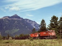 In southwestern British Columbia, we were fortunate to regularly see big MLWs on coal trains to Roberts Bank, due to many of them equipped with Locotrol for controlling mid-train remote units.  On Thursday 1977-06-02 near Agassiz (stated GPS location is approximate), the roar of white flags at track speed heralded the approach of CP 4559 and 4566 (and unseen remotes) on yet another train of coal loads from southeastern BC.