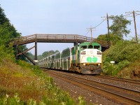 Back when the layover yard for Milton GO was at Campbellville, we see a morning train moving eastward under the farmers field access bridge by Canyon Rd.  This bridge made a nice prop for many a photo. Layover yard was moved to Milton in 2006.
