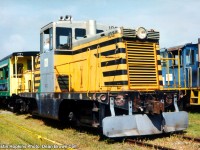 LPS 103 at St. Thomas.