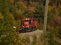 CP 6255 and CP 6012 pop out from some fall colors cresting the top of the hill/Levack spur, about to cross Highway 144 before running around their loads from the Coleman mine in Levack, and heading East for Sprecher where Vale will drag them into the Copper Cliff smelter. 
