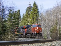 CN 2806 leads a northbound manifest train towards Fort St John in some great morning light.