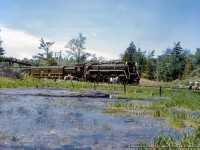 CNR 6167 is seen backing along the Fergus Sub for a runpast just west of Branchton.  This excursion, operated by the Upper Canada Railway Society, was operated Toronto - Guelph - Galt - Lynden - Brantford - Paris - Caledonia - Hamilton - Toronto.

<br><br><i>Original Photographer Unknown, Jacob Patterson Collection Slide.</i>