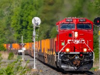 7577 is almost spotless as it leads an eastbound through Trenton and provides a little contrast against a sea of green.