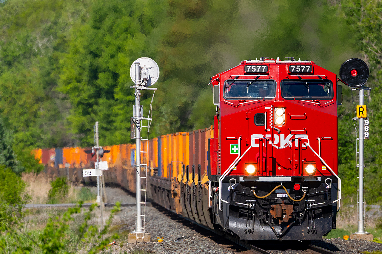 7577 is almost spotless as it leads an eastbound through Trenton and provides a little contrast against a sea of green.