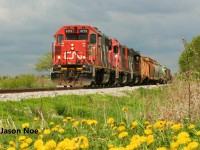 CN L568 with GP38-2’s 4713, 7515 and 7524 is pictured at Nafziger Road, just west of Baden, Ontario. Here, the crew will switch Alpine and then Pestell Pet Products before proceeding west to Stratford, Ontario over the Guelph Subdivision.