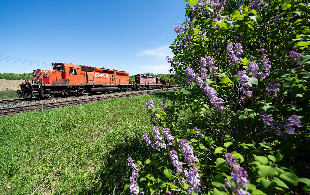 The lavender is blooming in the township of Caledon, and with the arrival of Spring comes the prevalence of work trains on the CP Rail system... Here at Palgrave we see welded rail train 4WMA approaching Hunsden Sideroad on the main after laying ribbon rail along the Mactier Sub in a couple of spots.